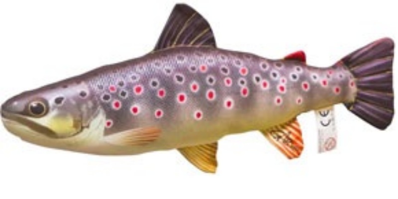 Bild för kategori Fishpillows
