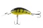 The Abbot 45mm, Fluo Perch